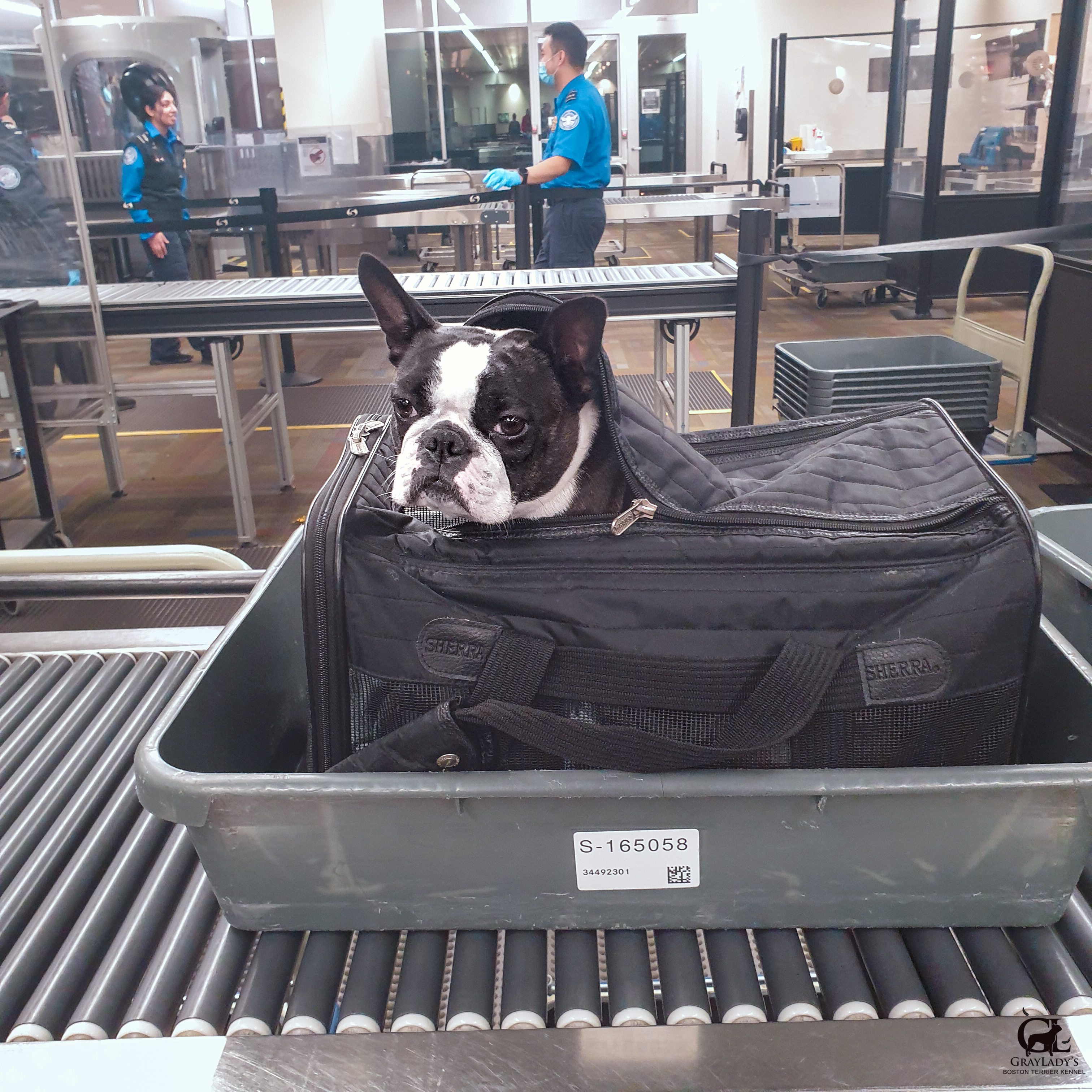 Ginny and the TSA in Miami International Airport