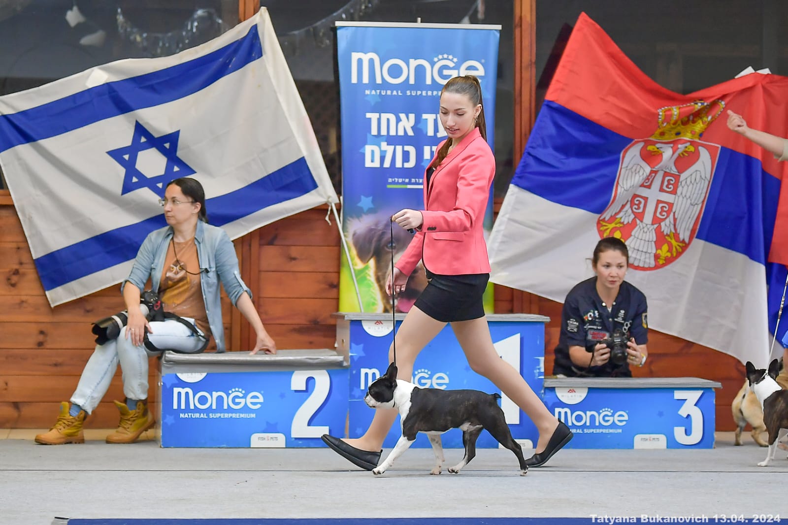 Home Of Graylady'S Boston Terriers In Israel 3 5 Whatsapp Image 2025 07 01 At 19.07.37 4