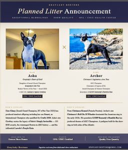 Litter announcement 2 1