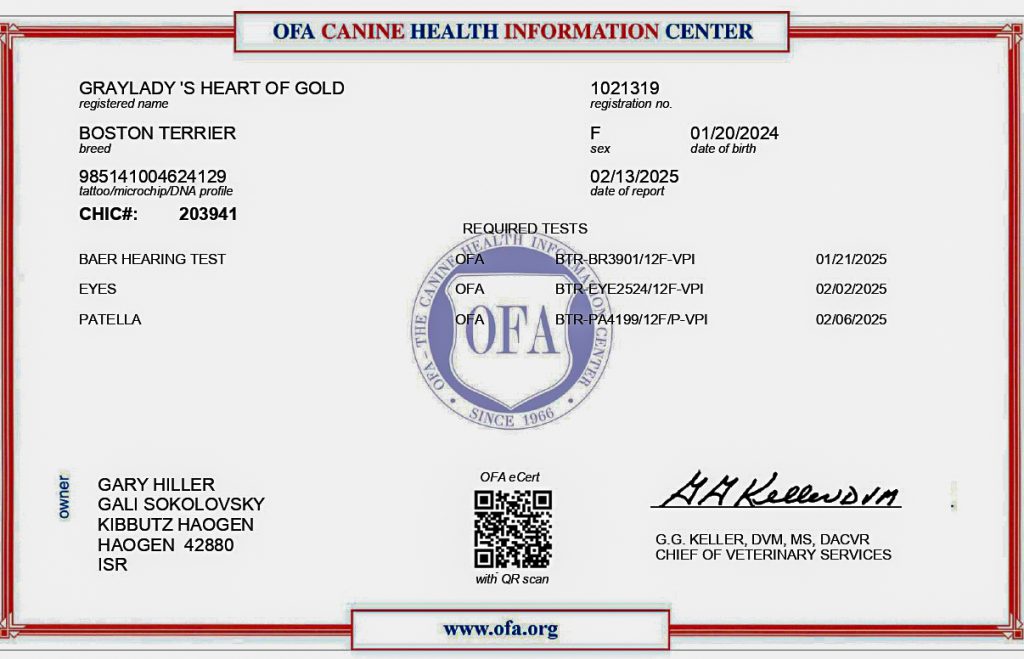 CHIC Cert Asha 3